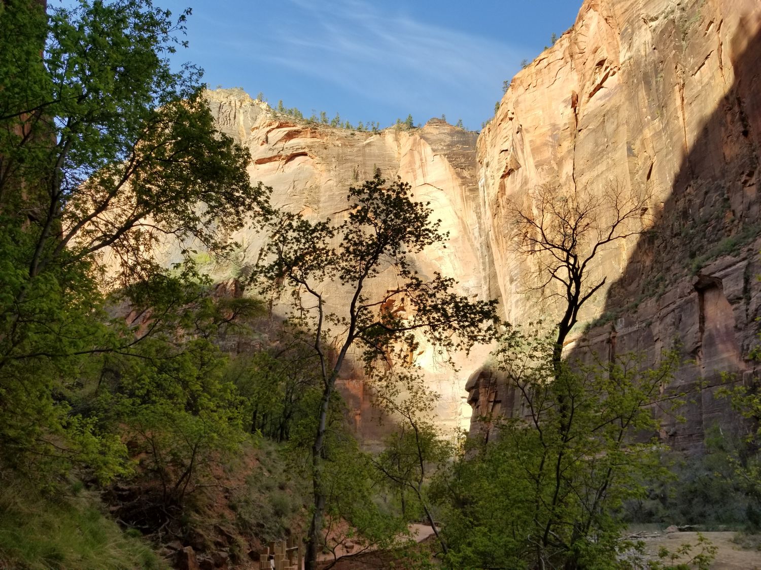 Riverside Walk Trail 